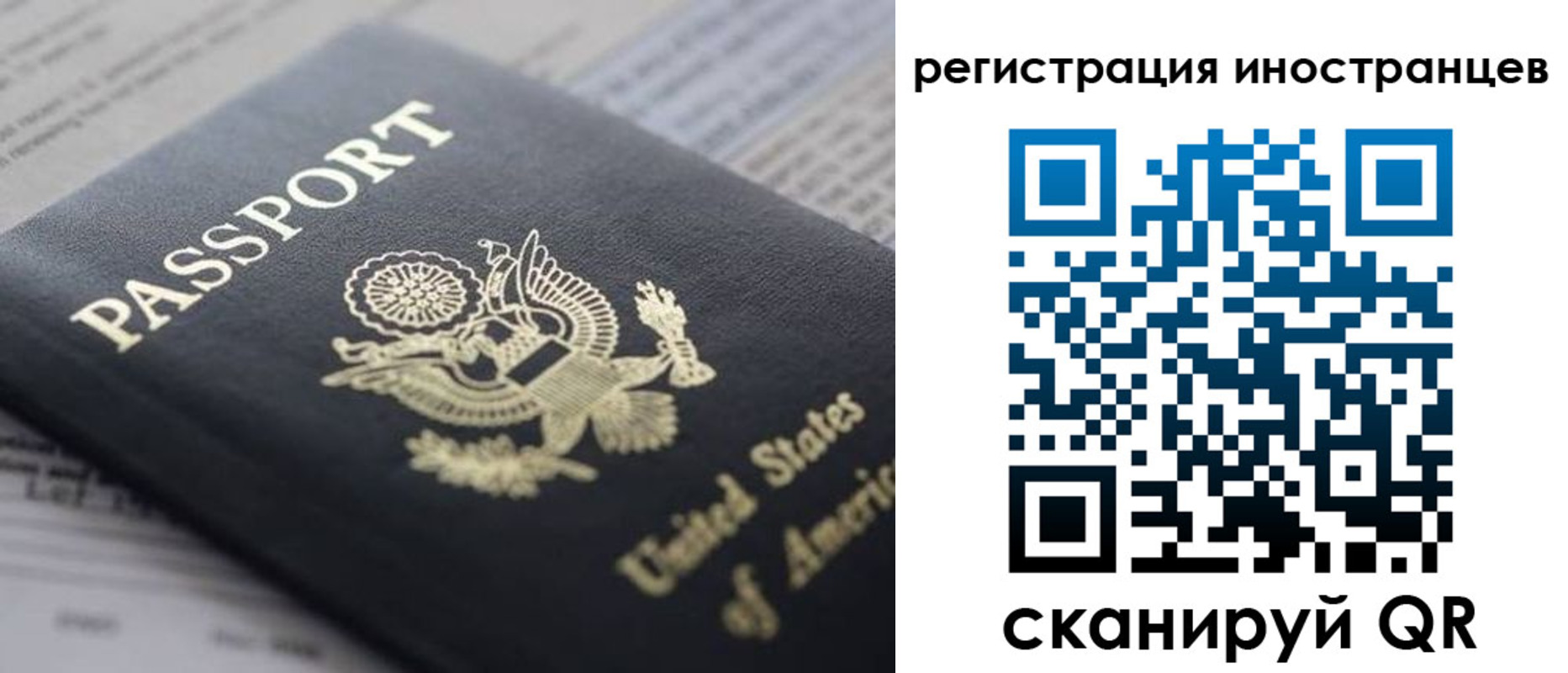 регистрация в Новосибирской области